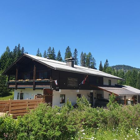 Ferienhaus Schaefer - Apartments - Wintersports - Family Holiday - Holiday With Your Dog - Rural & Scenic Flattnitz 외부 사진