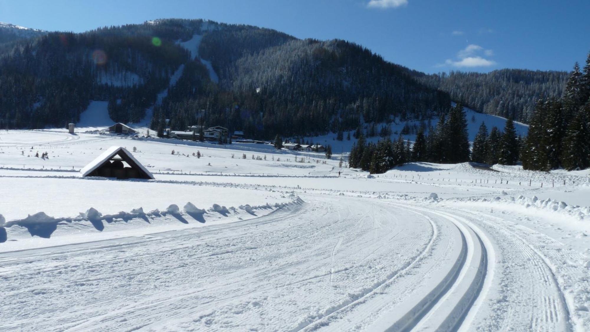 Ferienhaus Schaefer - Apartments - Wintersports - Family Holiday - Holiday With Your Dog - Rural & Scenic Flattnitz 외부 사진