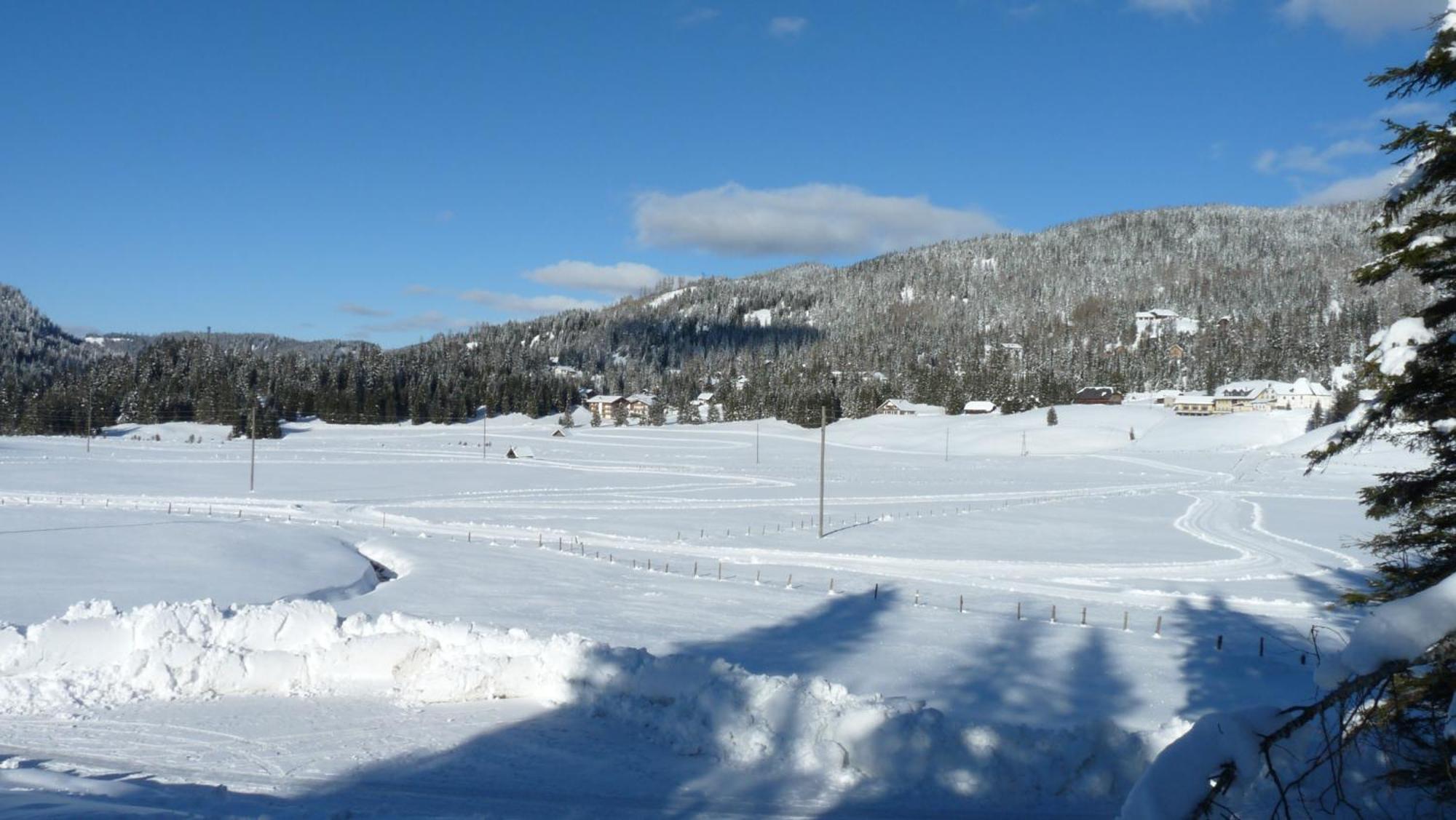 Ferienhaus Schaefer - Apartments - Wintersports - Family Holiday - Holiday With Your Dog - Rural & Scenic Flattnitz 외부 사진