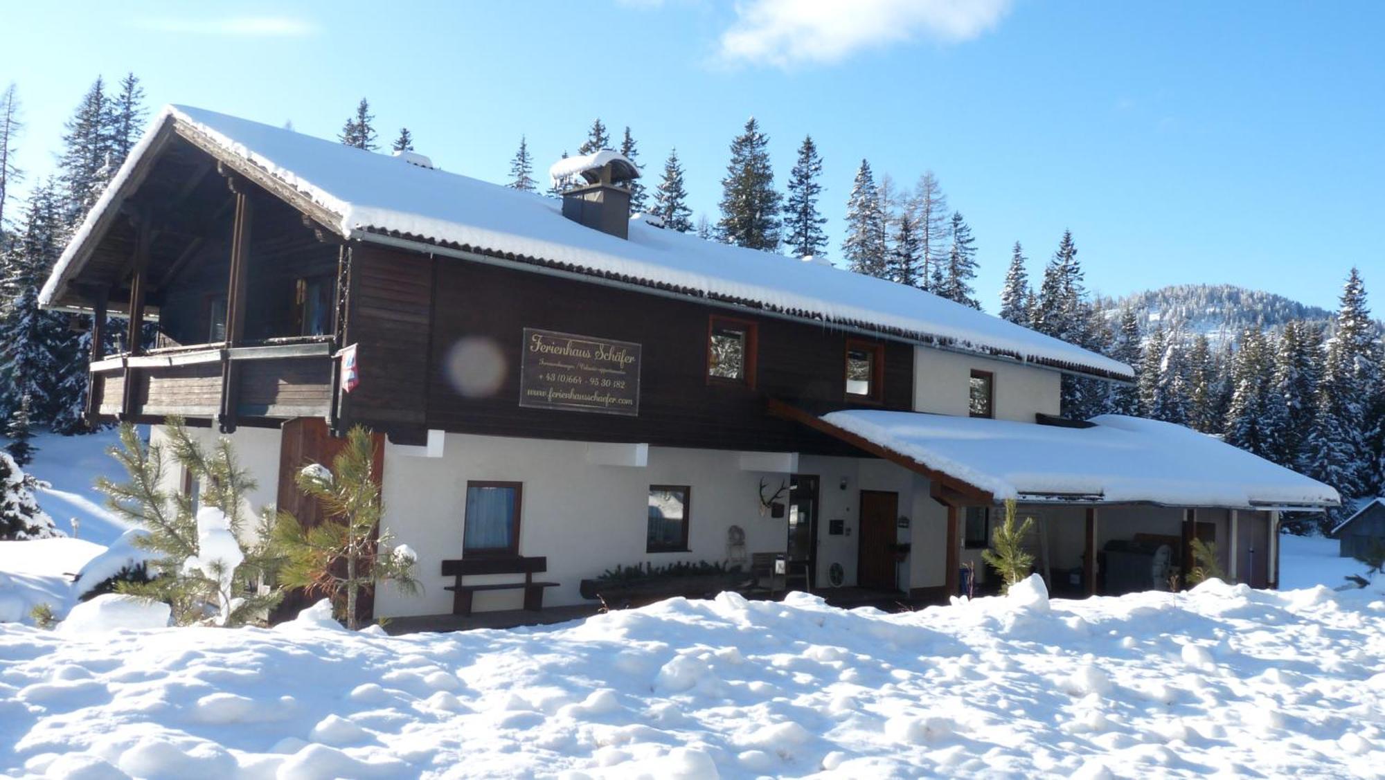 Ferienhaus Schaefer - Apartments - Wintersports - Family Holiday - Holiday With Your Dog - Rural & Scenic Flattnitz 외부 사진