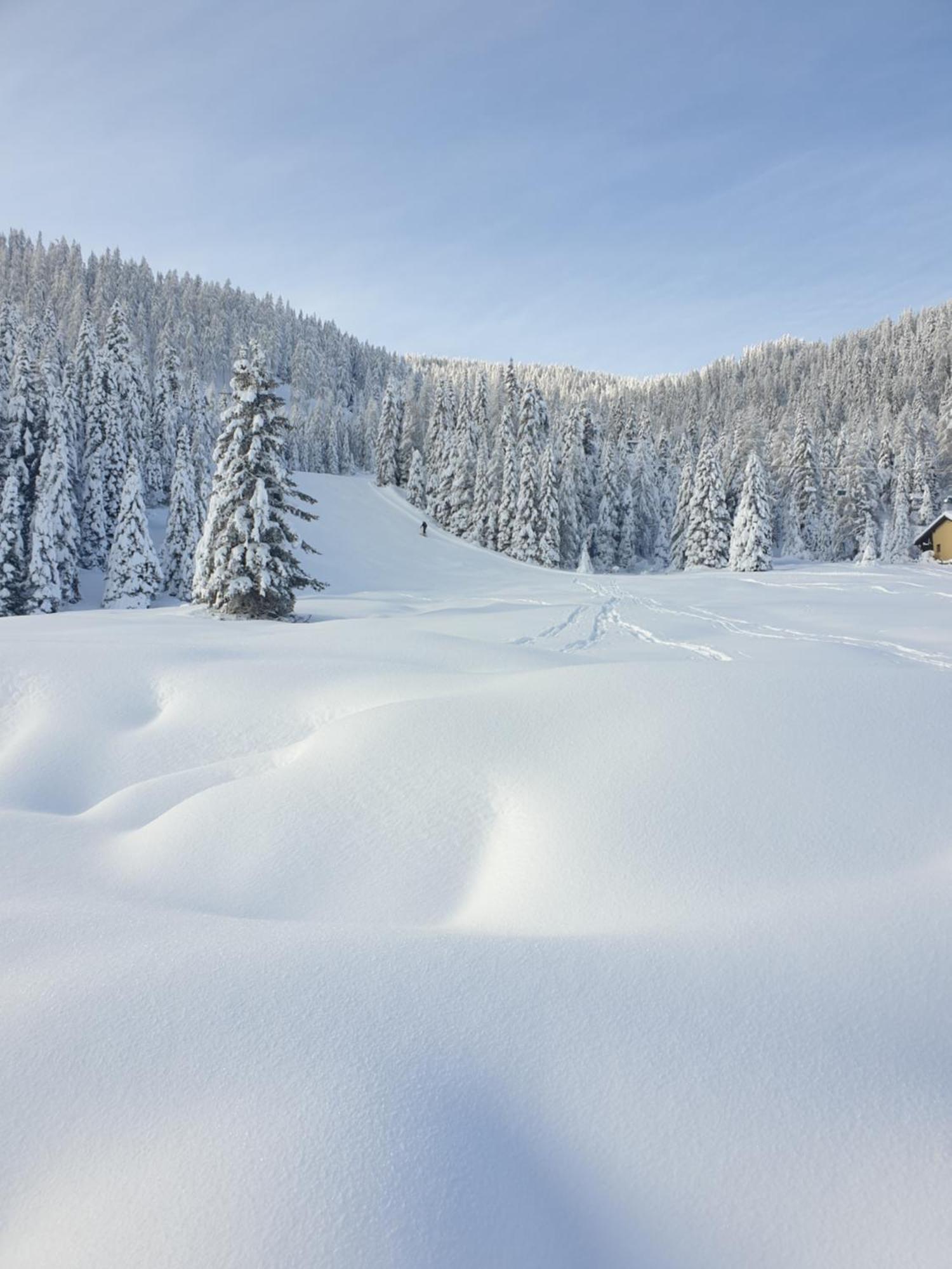 Ferienhaus Schaefer - Apartments - Wintersports - Family Holiday - Holiday With Your Dog - Rural & Scenic Flattnitz 외부 사진