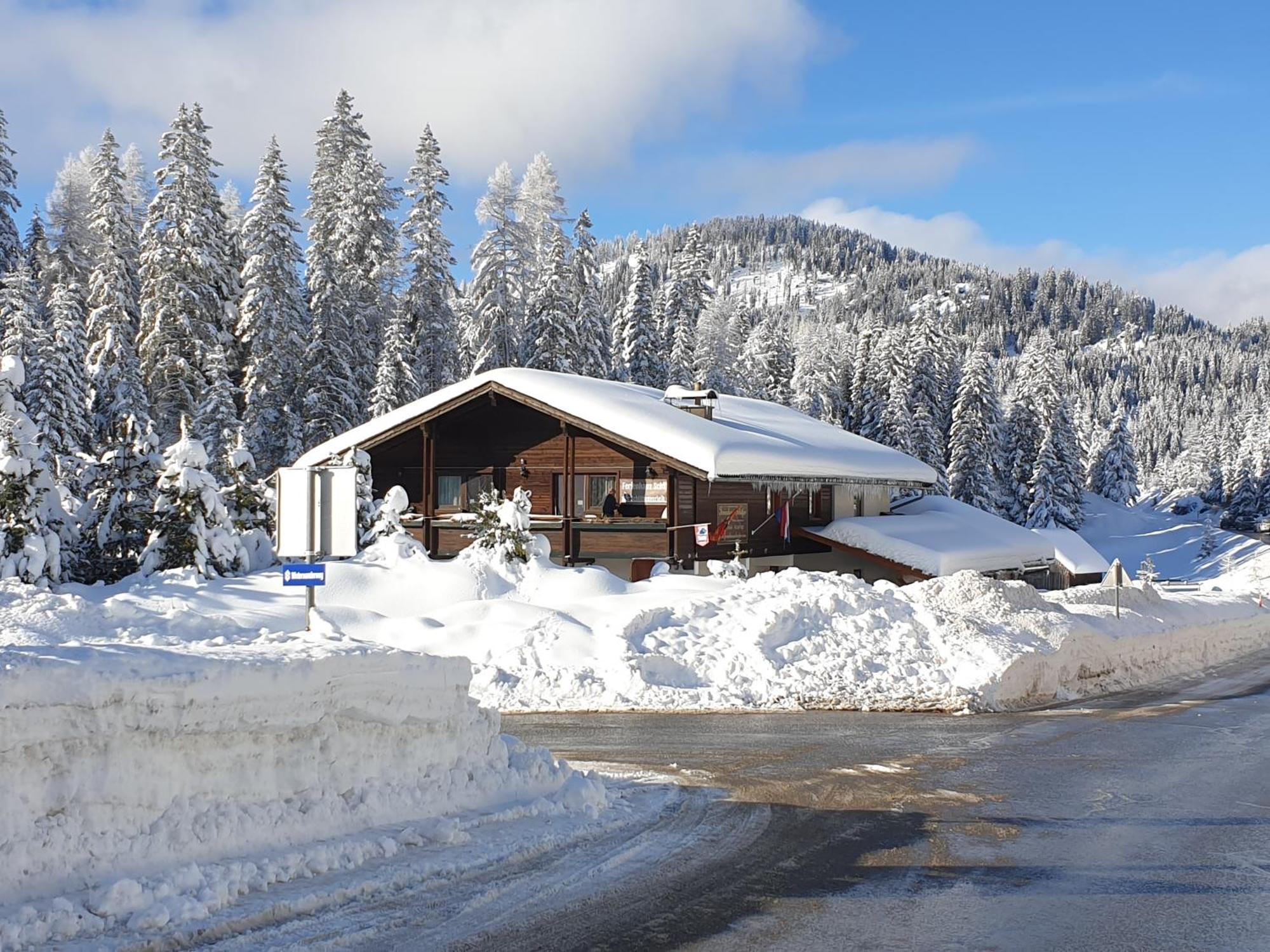 Ferienhaus Schaefer - Apartments - Wintersports - Family Holiday - Holiday With Your Dog - Rural & Scenic Flattnitz 외부 사진