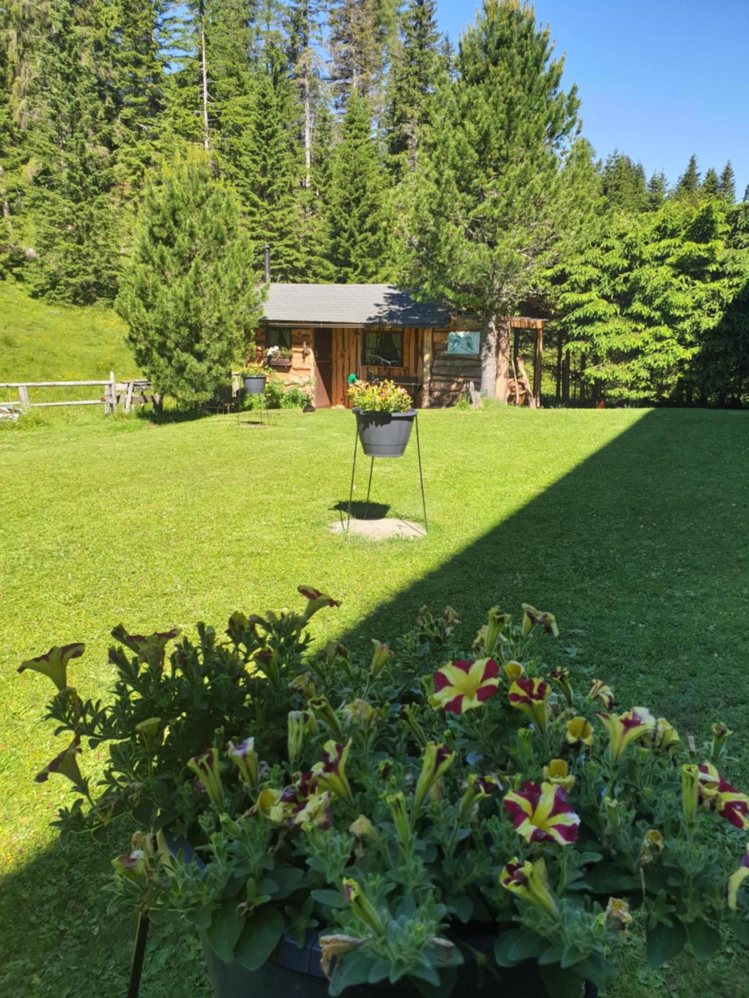 Ferienhaus Schaefer - Apartments - Wintersports - Family Holiday - Holiday With Your Dog - Rural & Scenic Flattnitz 외부 사진