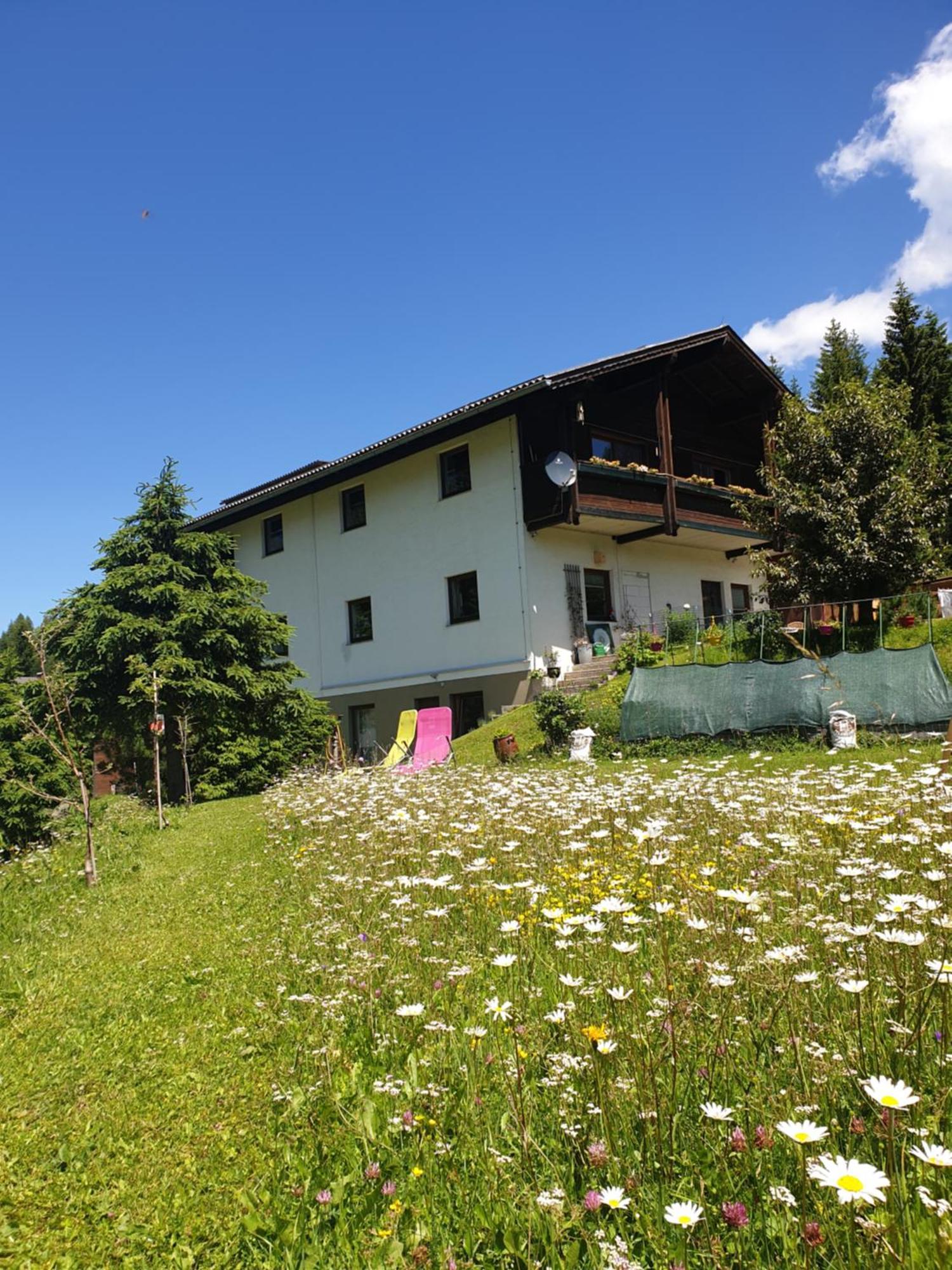 Ferienhaus Schaefer - Apartments - Wintersports - Family Holiday - Holiday With Your Dog - Rural & Scenic Flattnitz 외부 사진