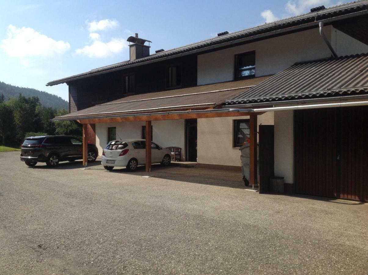 Ferienhaus Schaefer - Apartments - Wintersports - Family Holiday - Holiday With Your Dog - Rural & Scenic Flattnitz 외부 사진